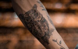 Eulen Tattoo Owl Tattoo Vogel Tattoo
